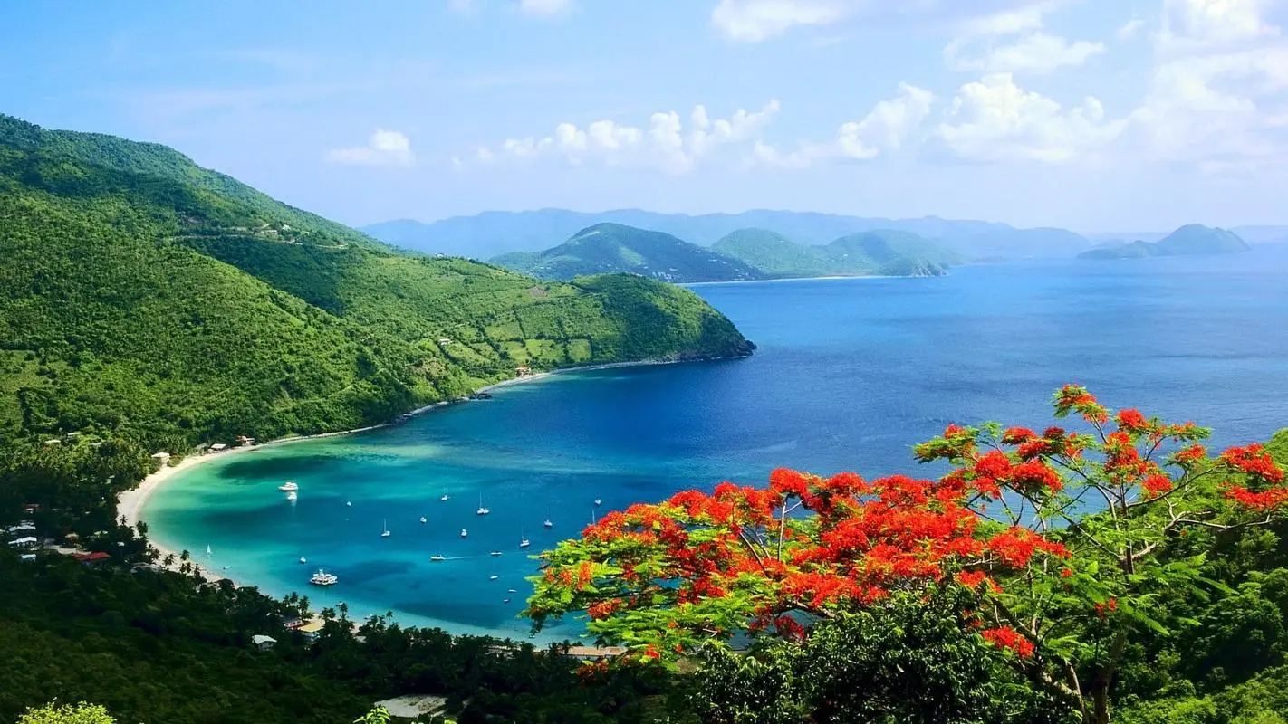 创新可靠性